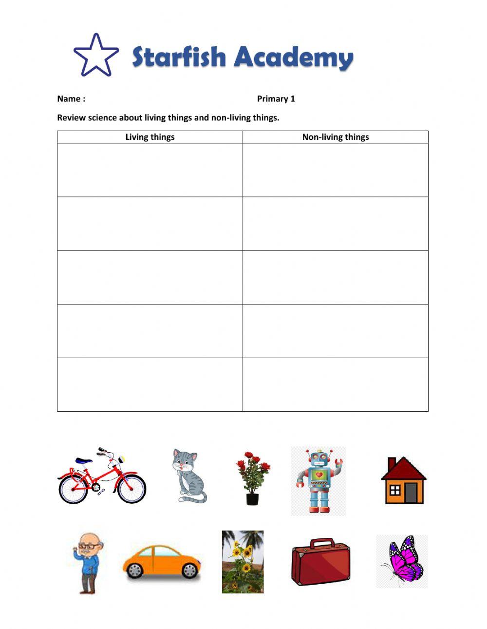 Classification the living and non living things worksheet | Live Worksheets