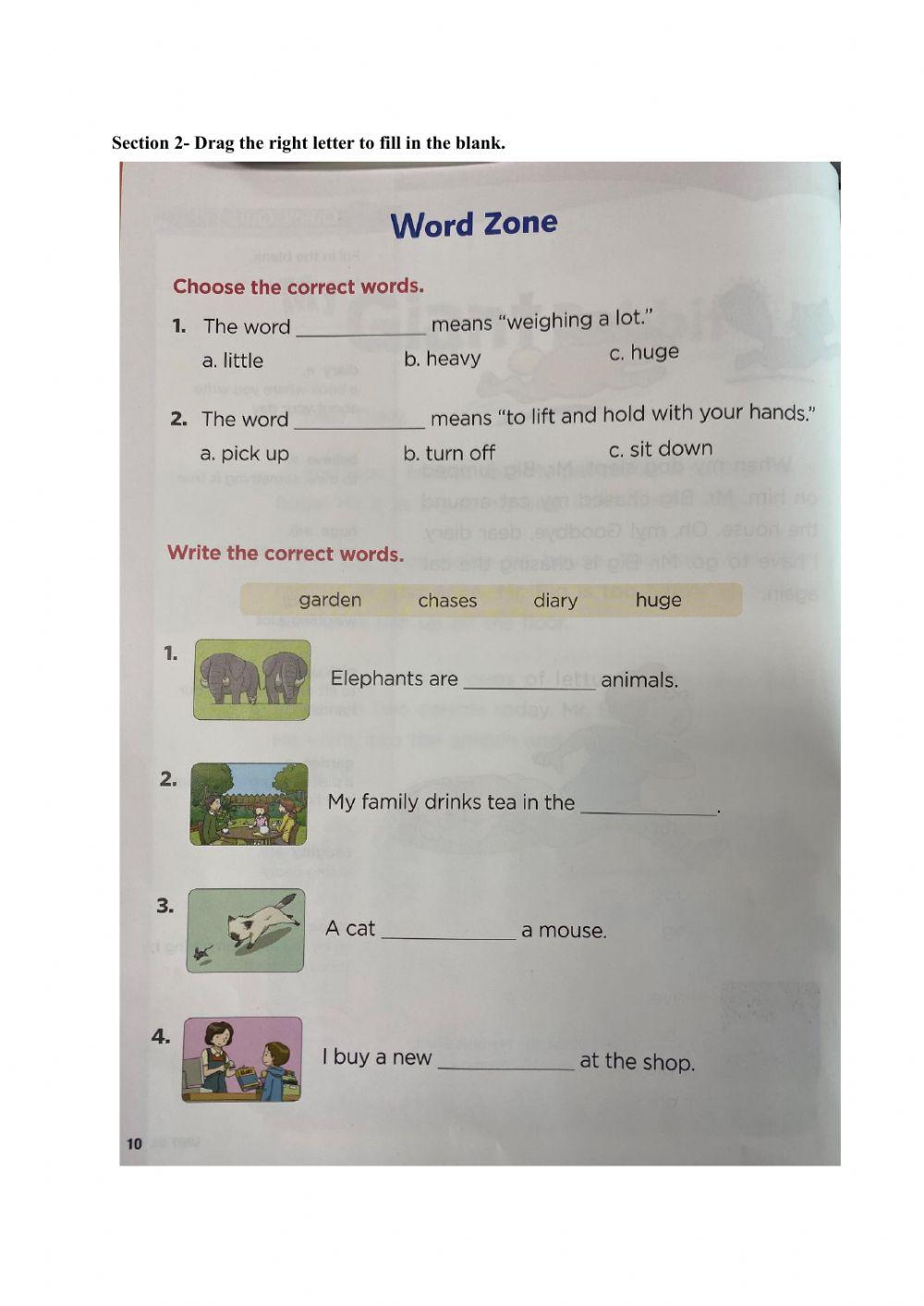 My Giant Rabbit- M1 reading comprehension