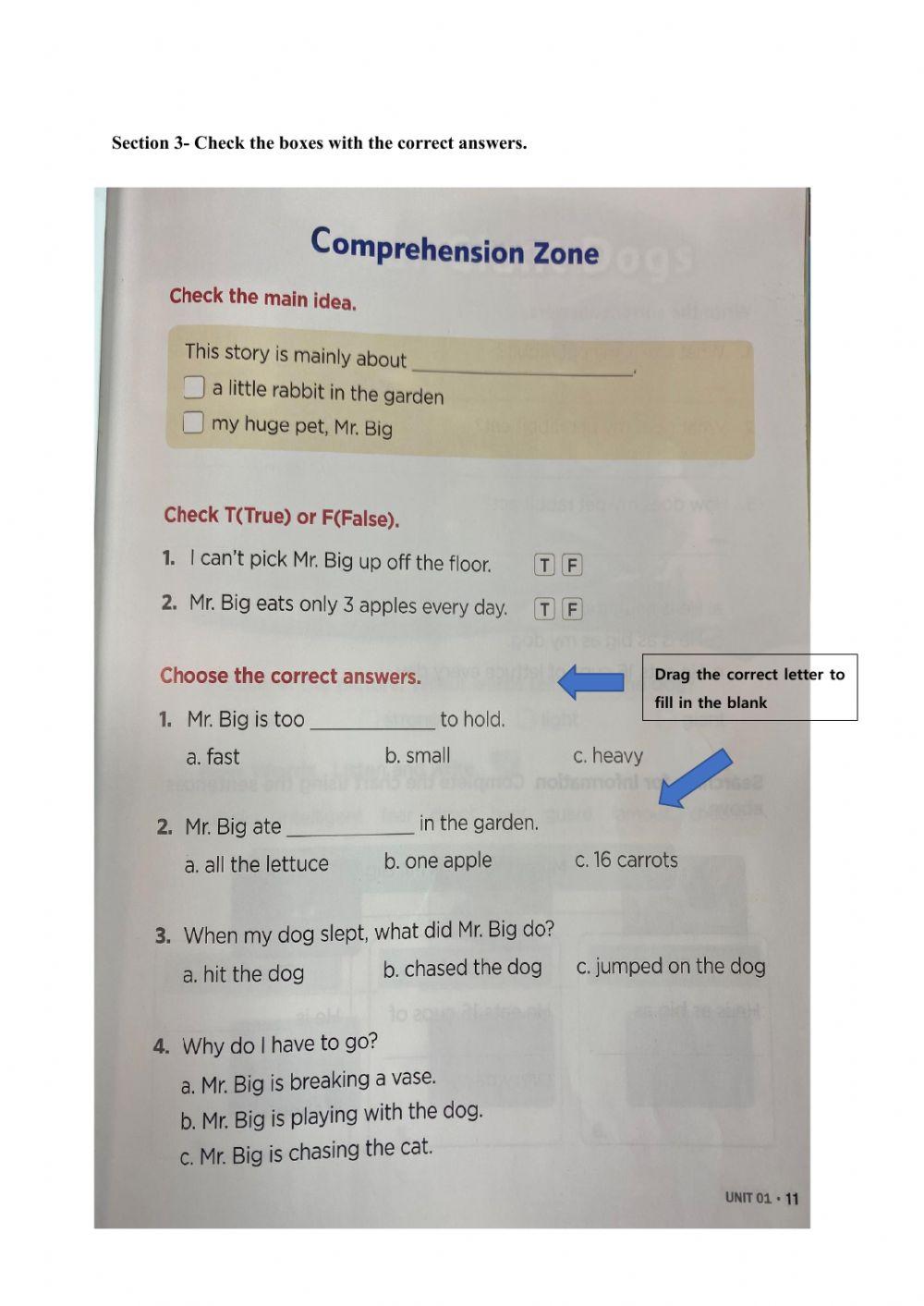 My Giant Rabbit- M1 reading comprehension