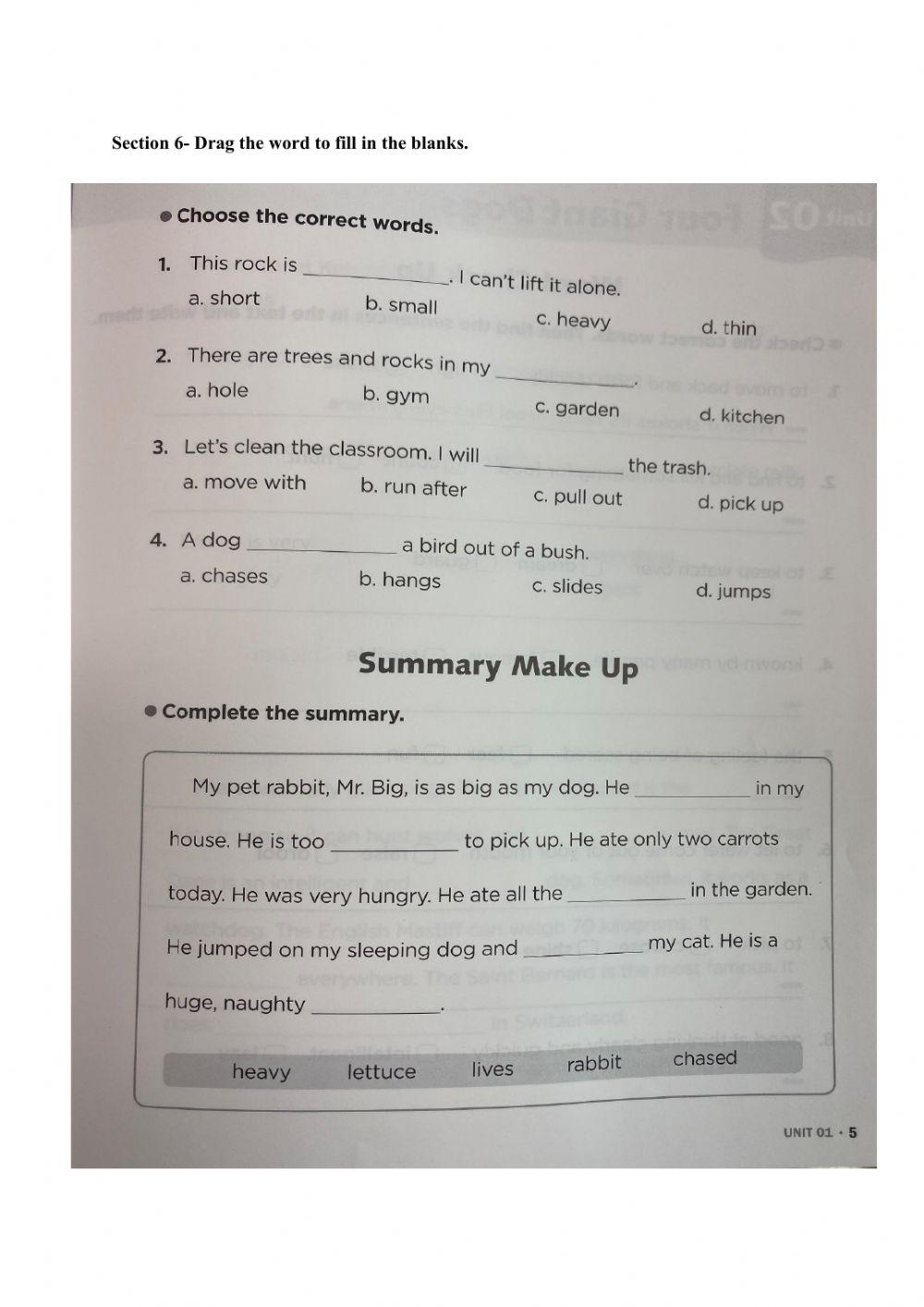 My Giant Rabbit- M1 reading comprehension