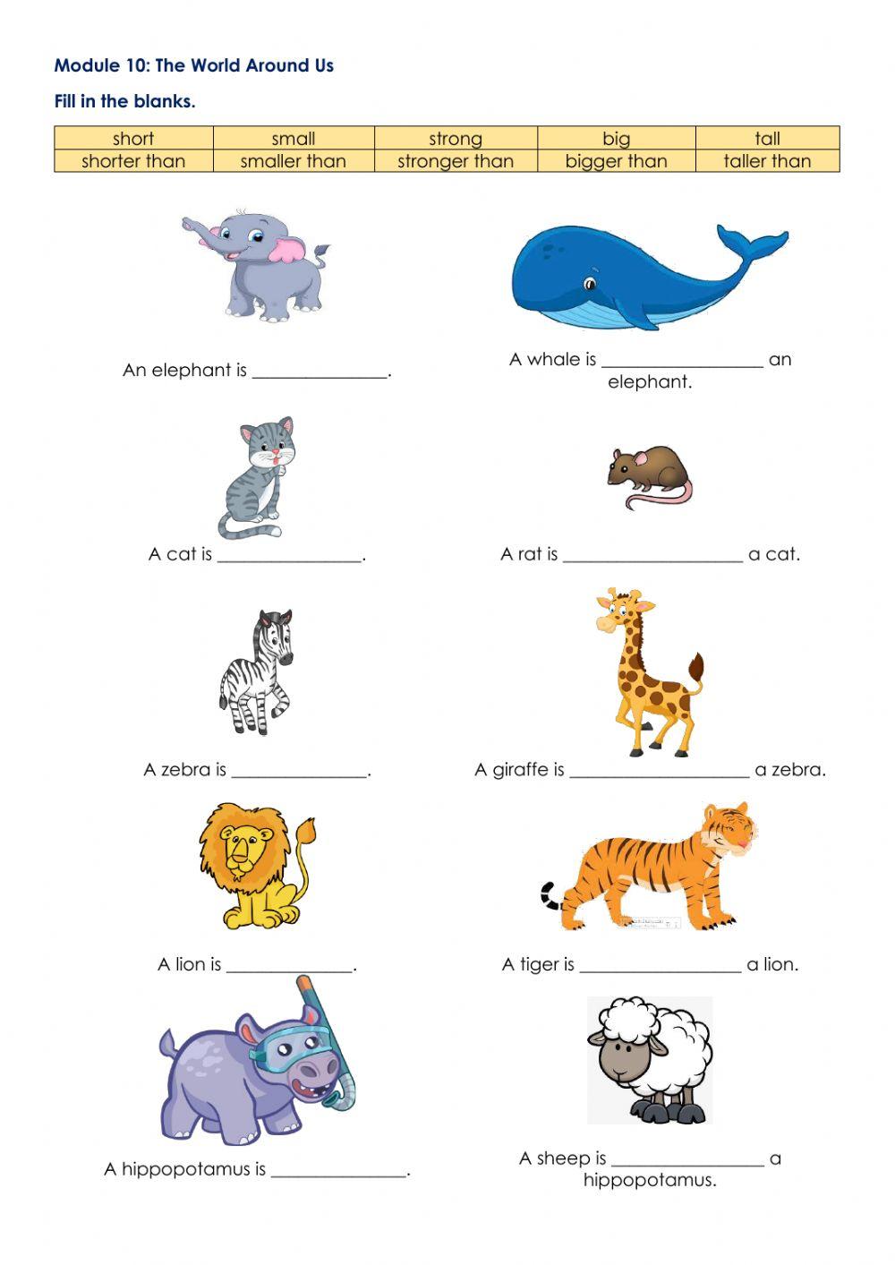 Module 10: The World Around Us