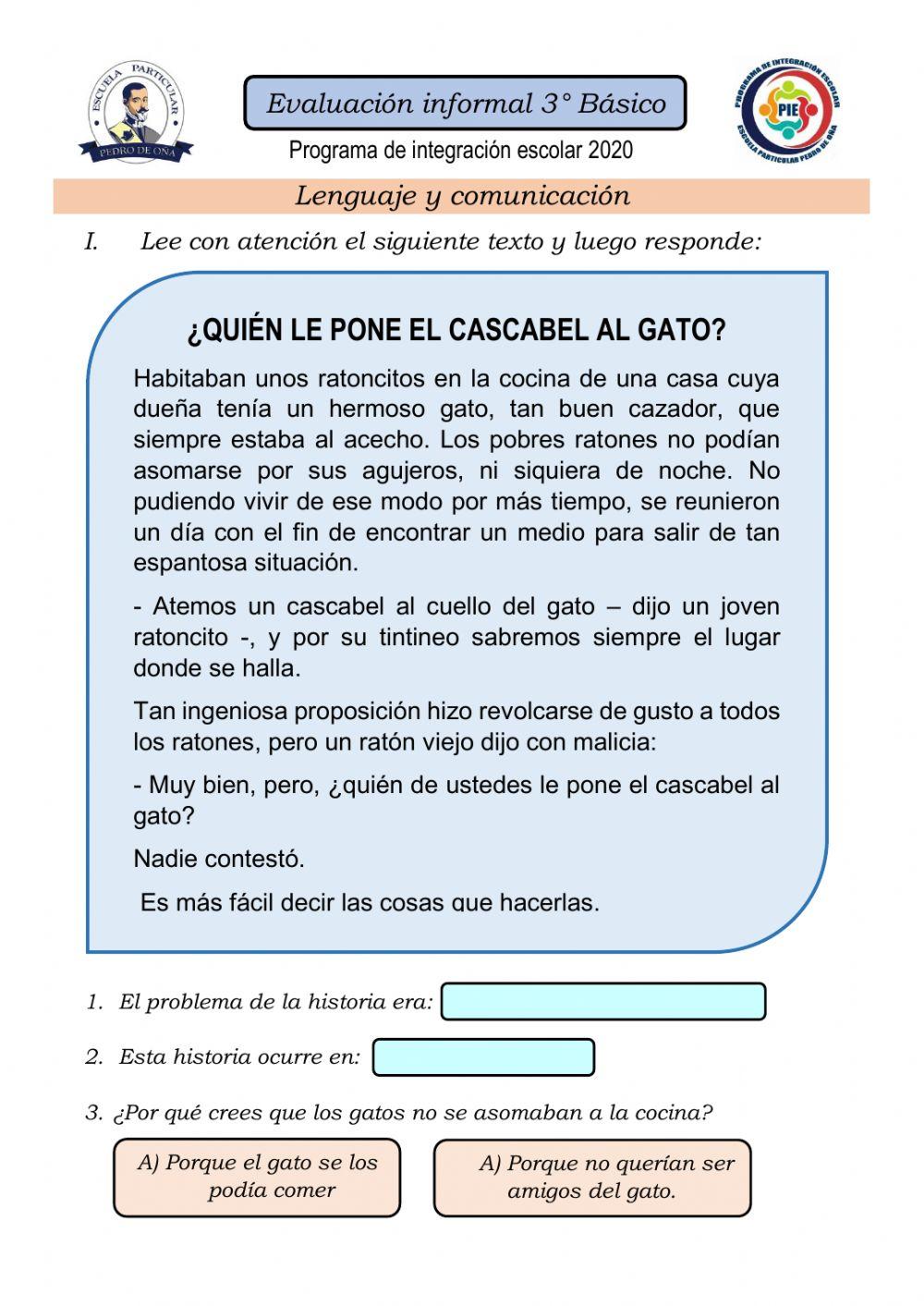 Evaluación lenguaje