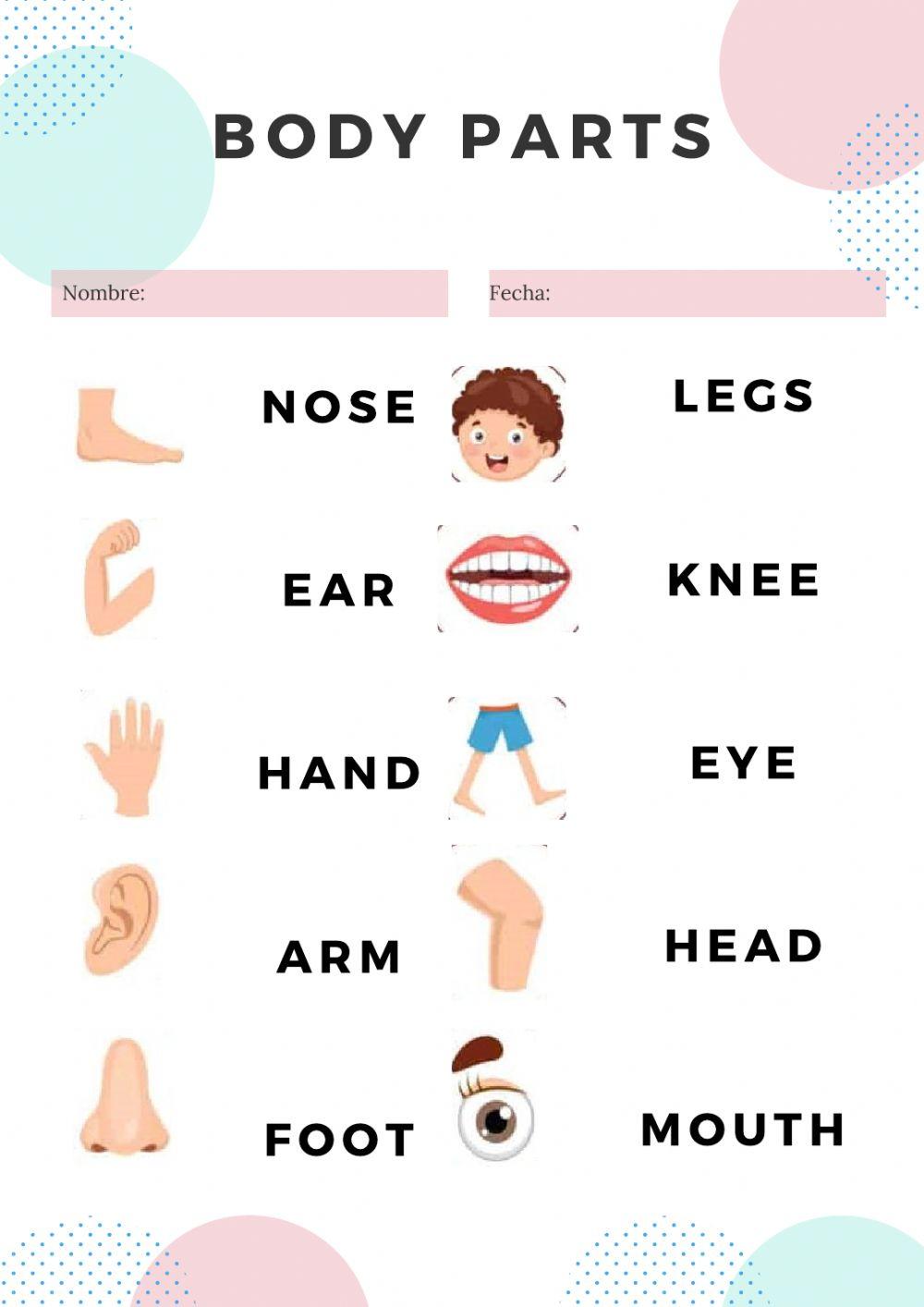 25mar body parts