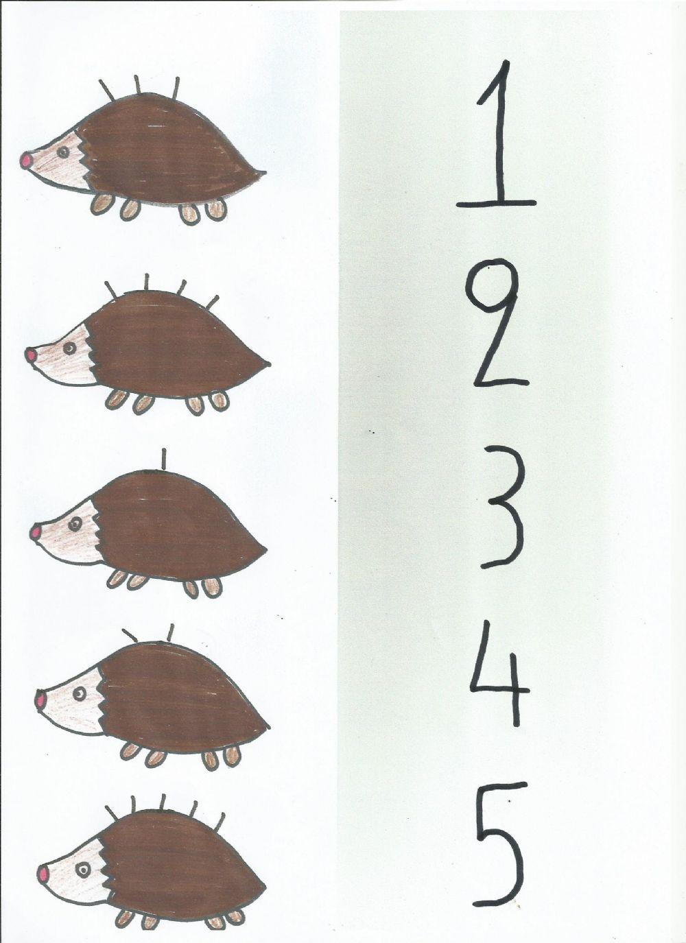 Σκαντζόχοιροι