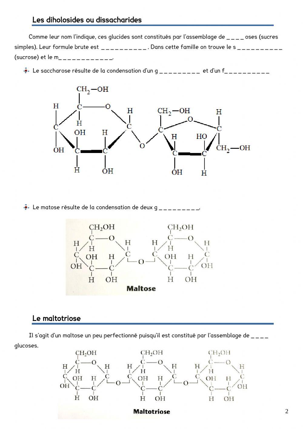 Les glucides du malt