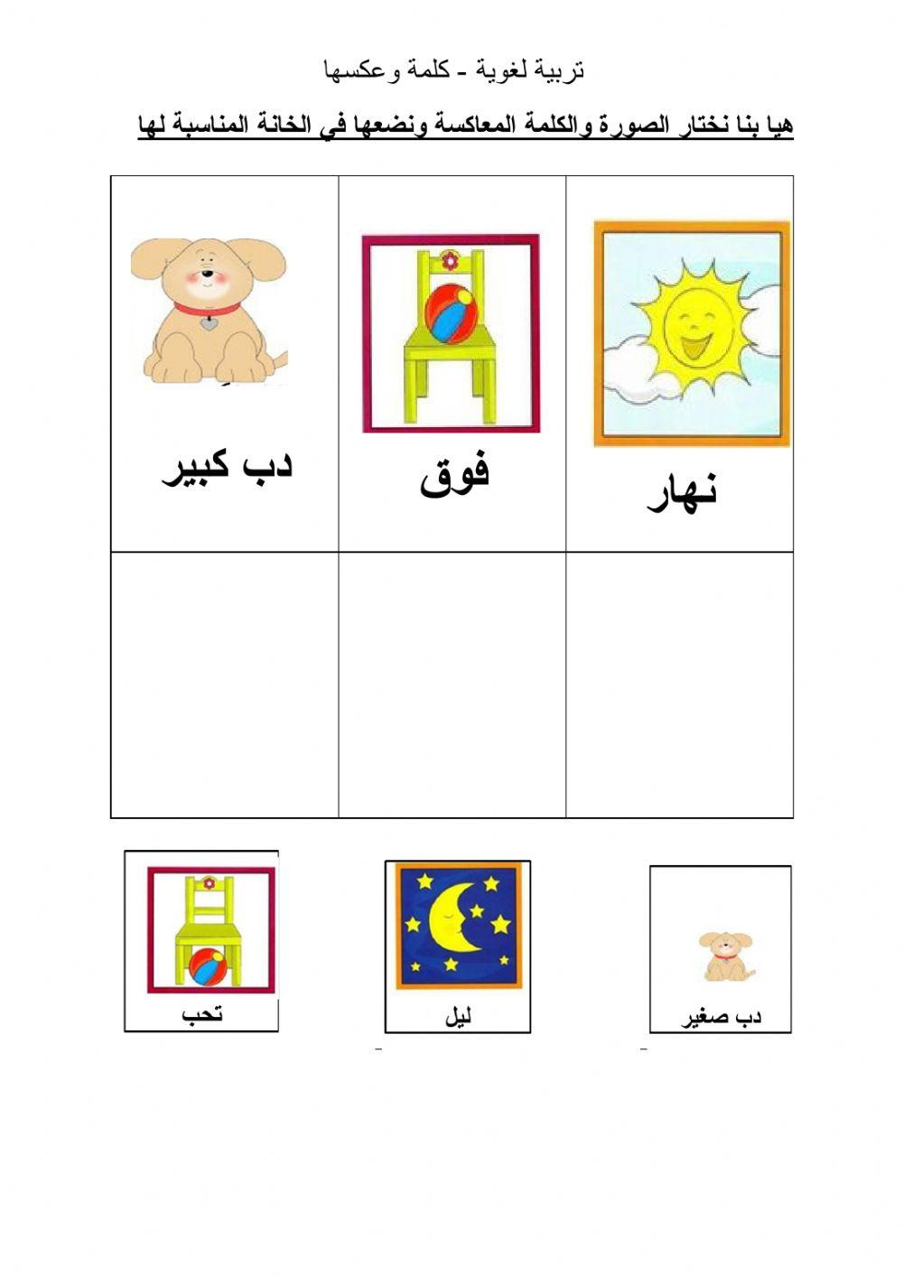 لائم الكلمة وعكسها