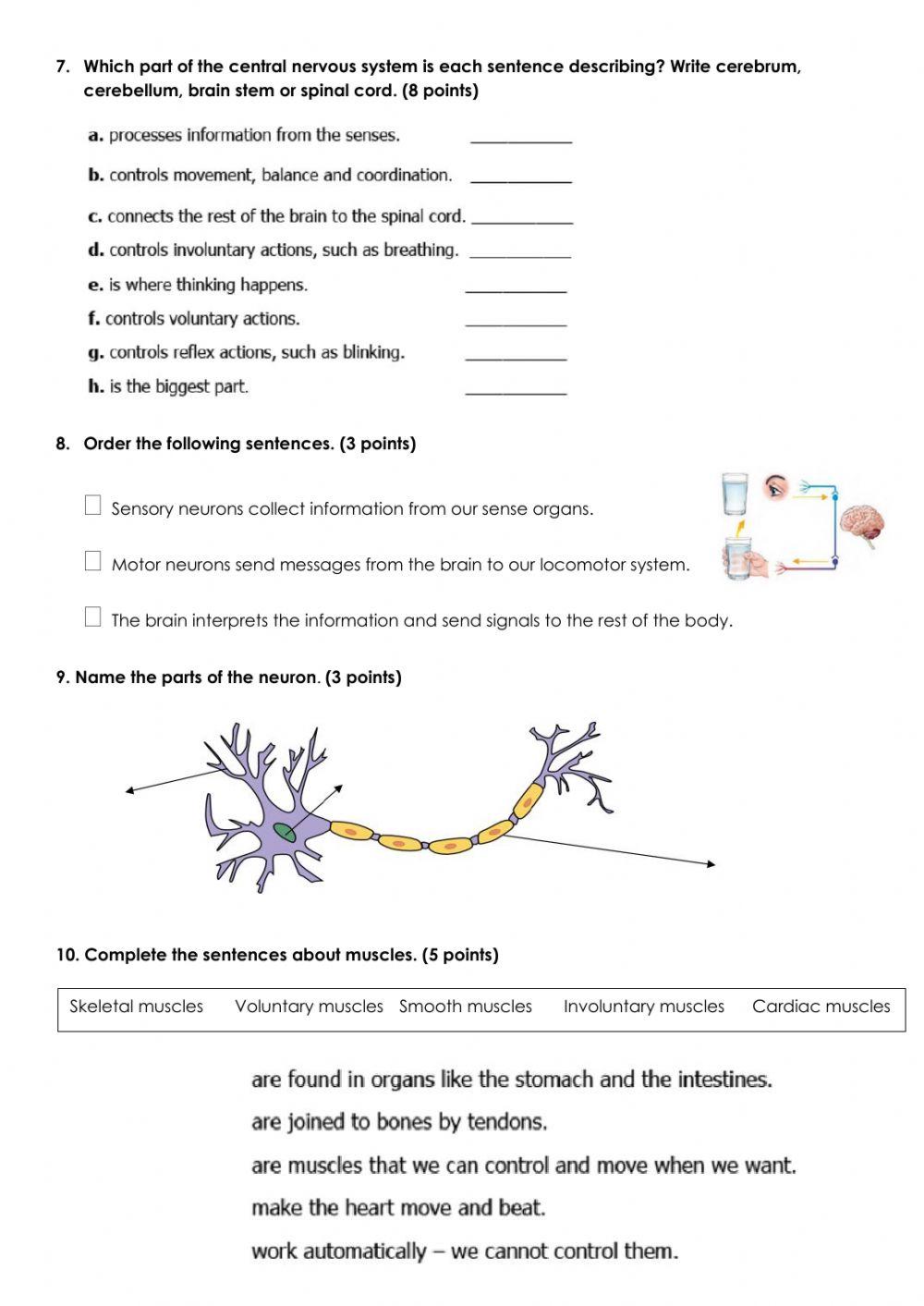Test. natural science. unit 1. 6ºep
