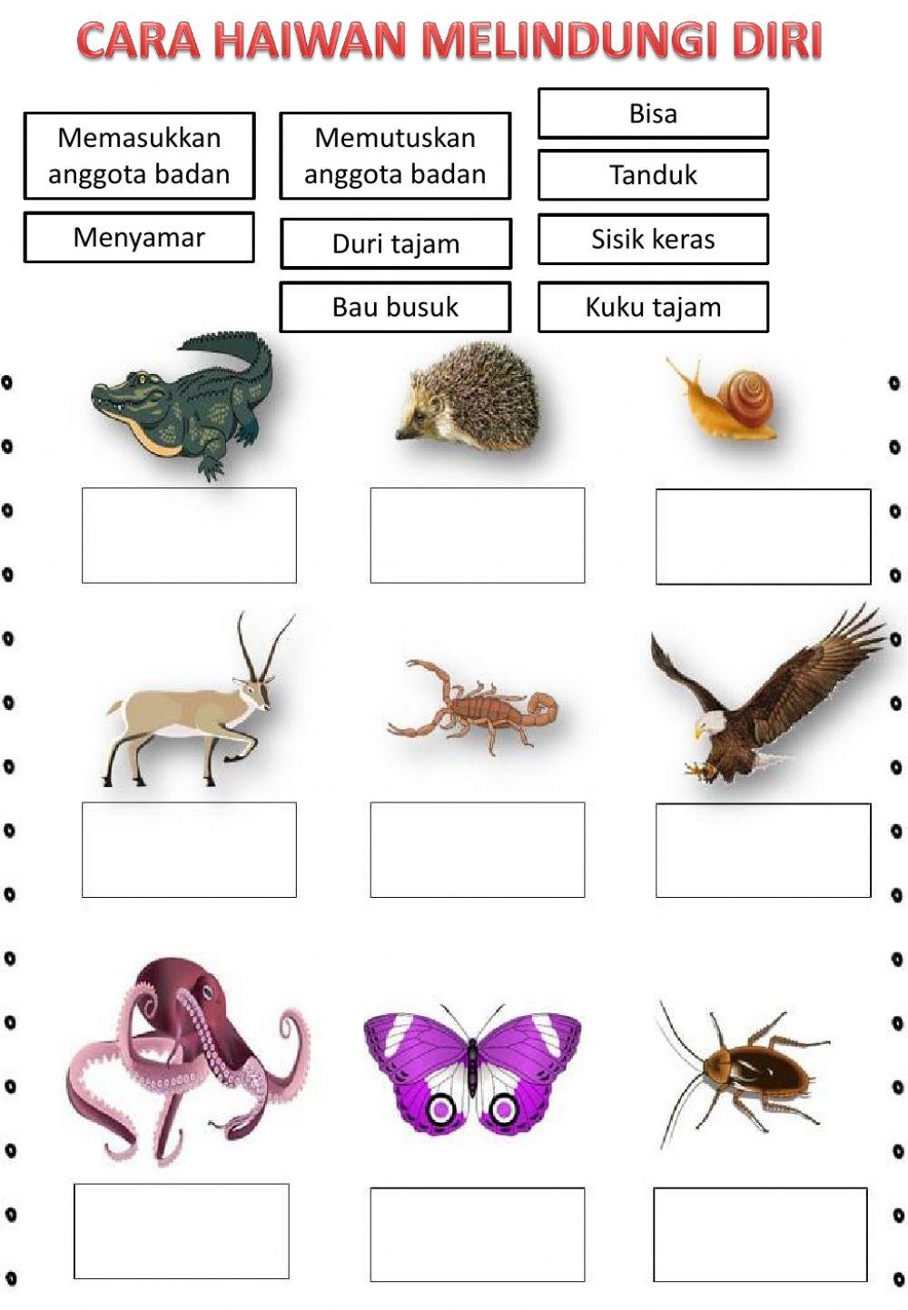 Cara Haiwan Melindungi Diri