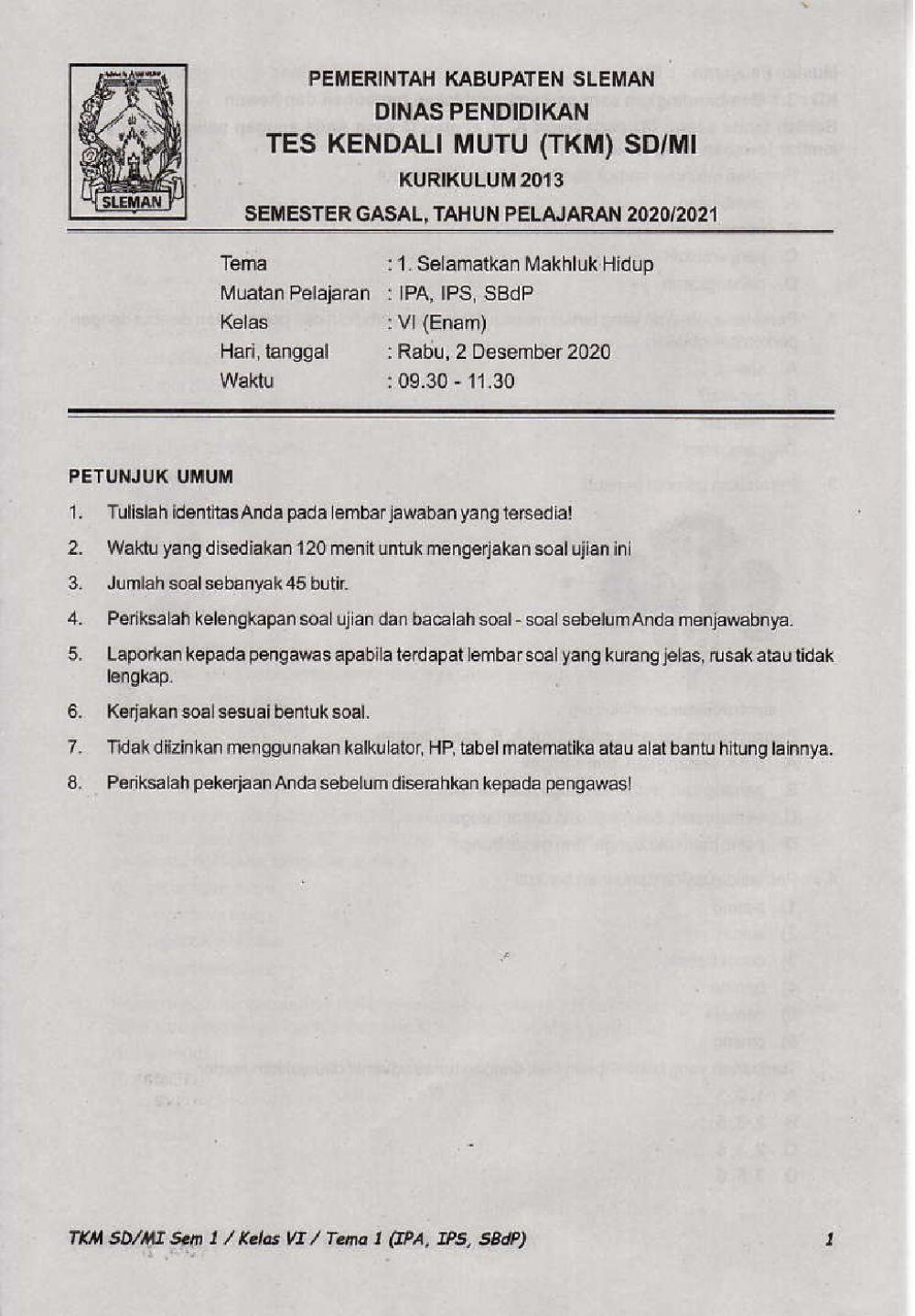 Penilaian Akhir Semester 1 Kelas 6