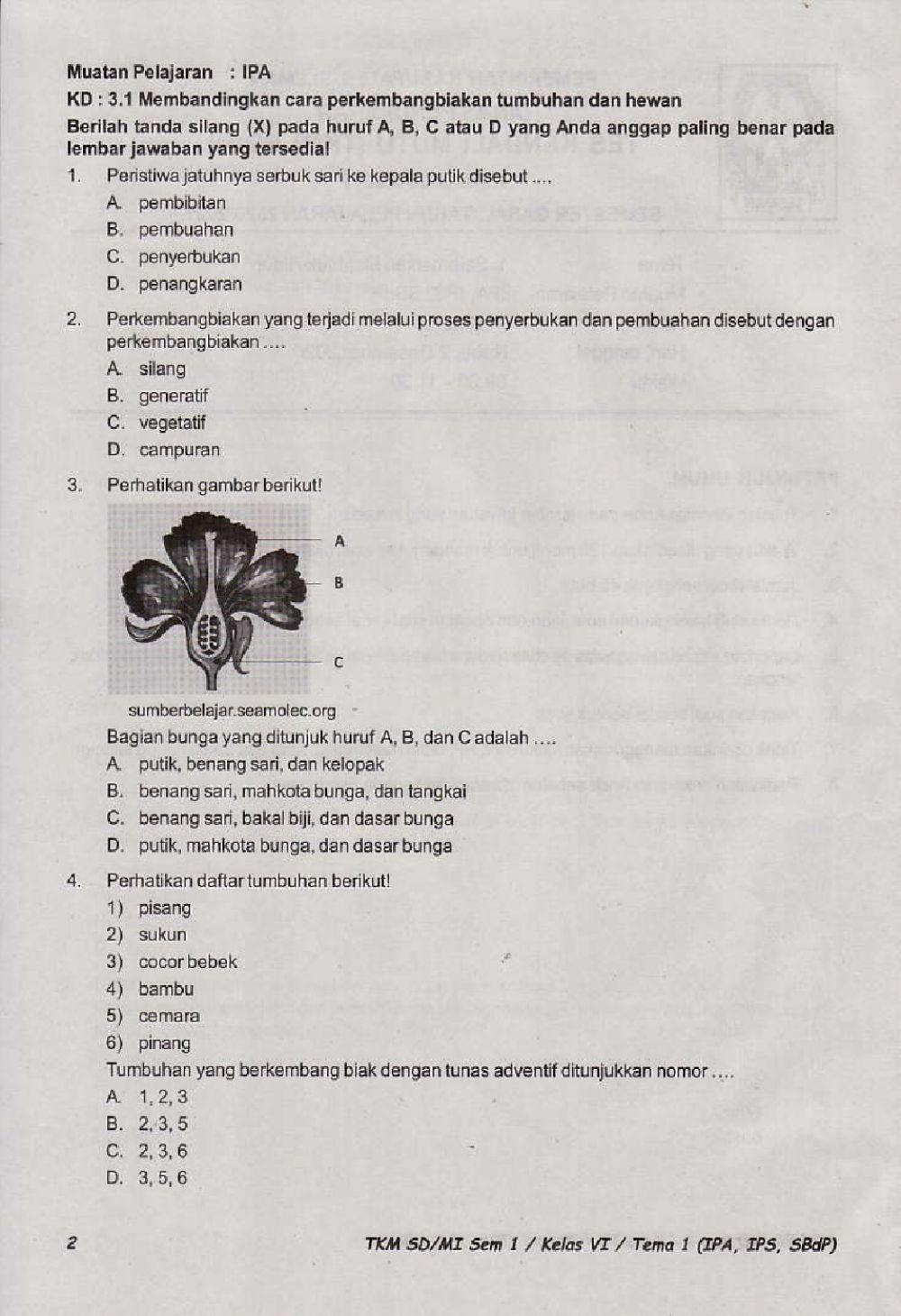 Penilaian Akhir Semester 1 Kelas 6
