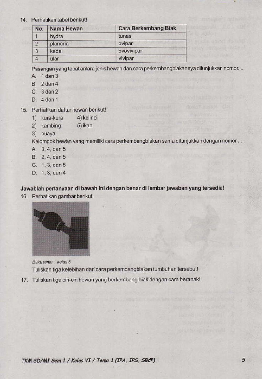 Penilaian Akhir Semester 1 Kelas 6