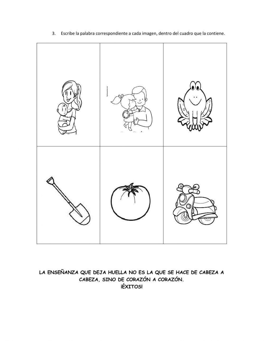 Conducta de entrada español transición