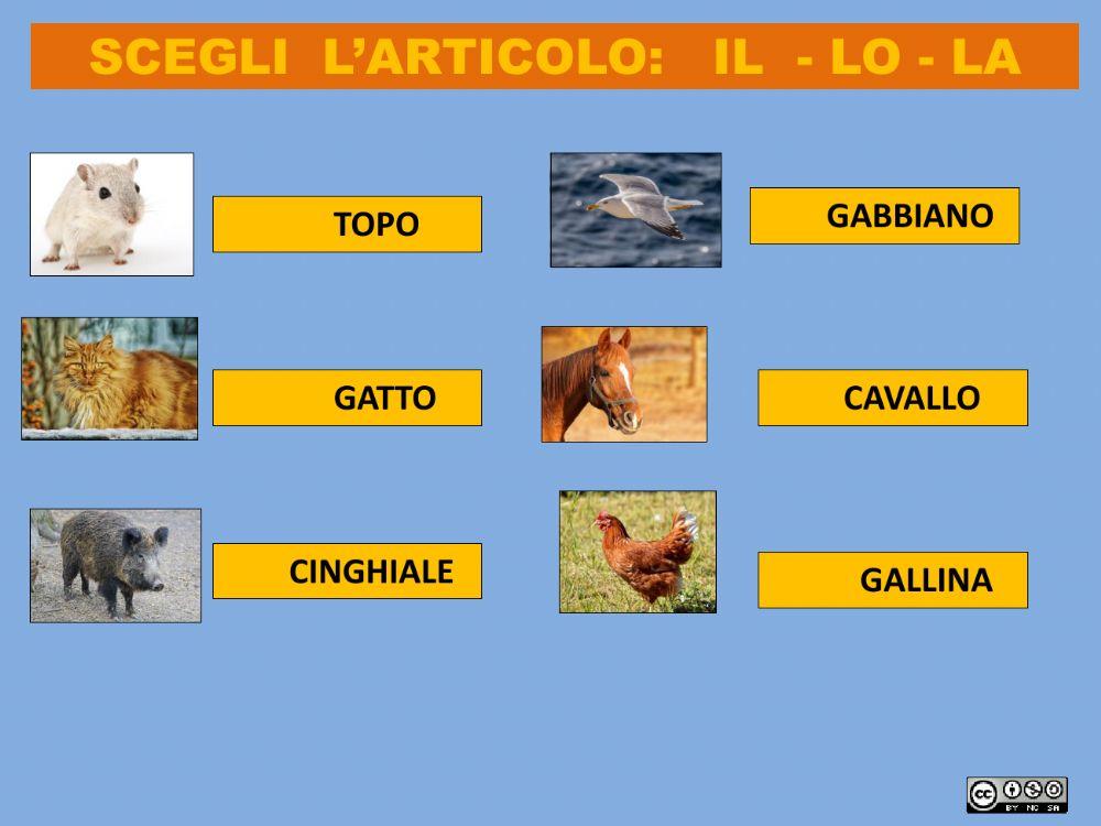 Scegli l'articolo adatto ad ogni animale