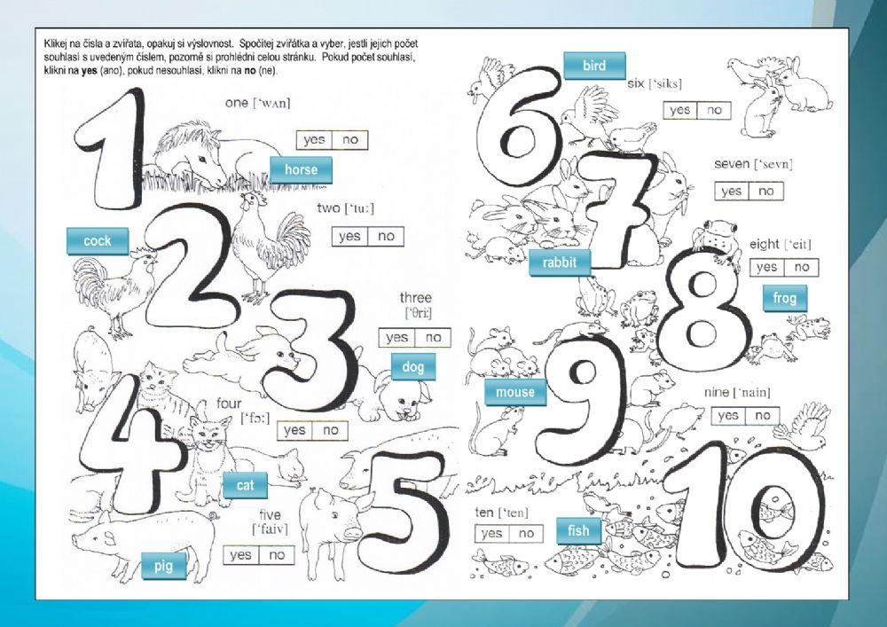 Animals and numbers to 10