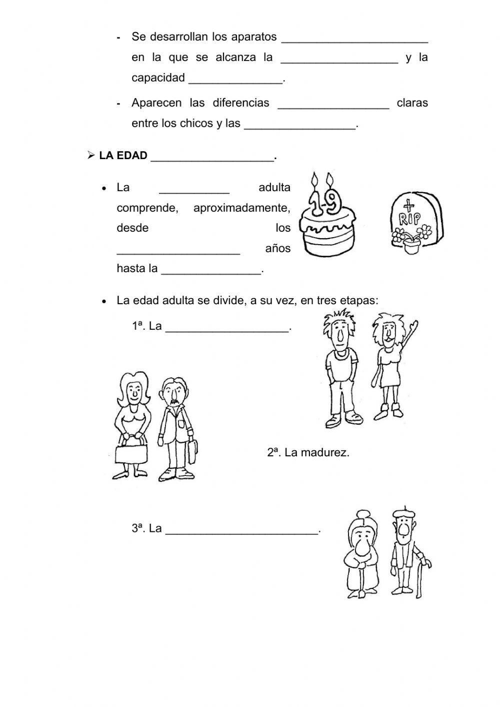 Las etapas de la vida