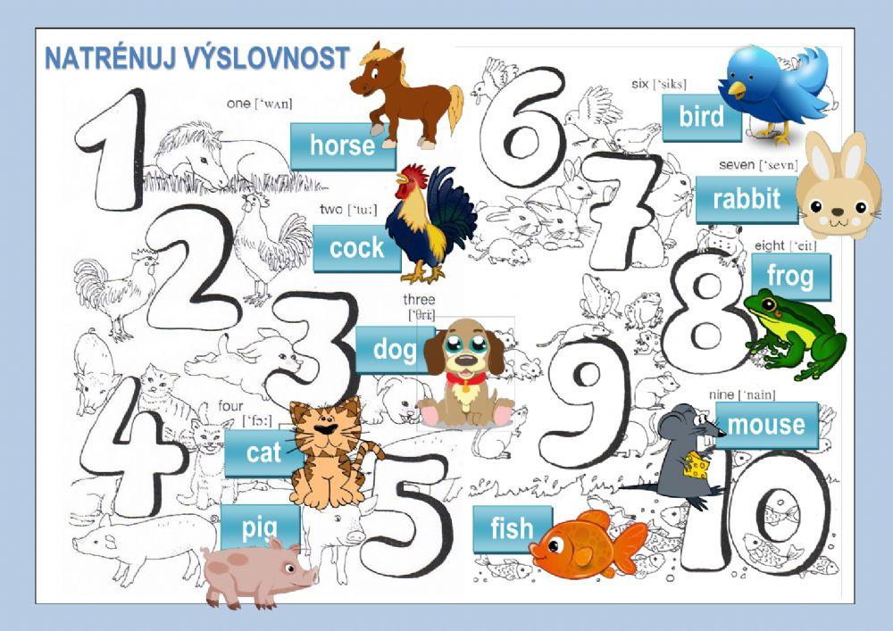 Animals and numbers to 10 - výslovnost Animals and numbers to 10 - výslovnost