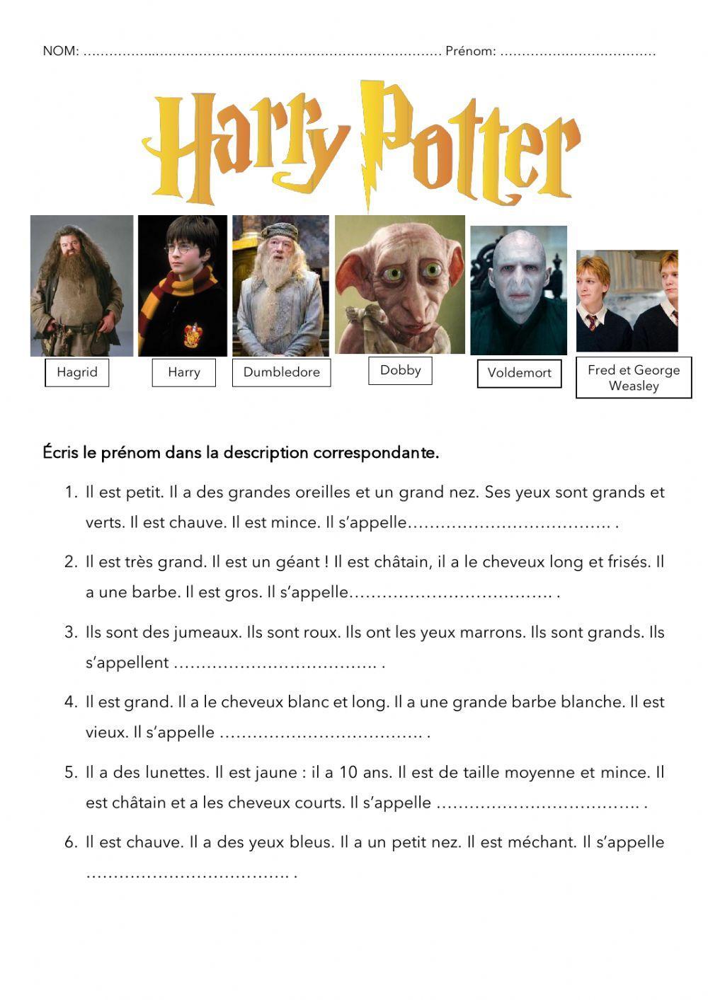 Description Harry Potter