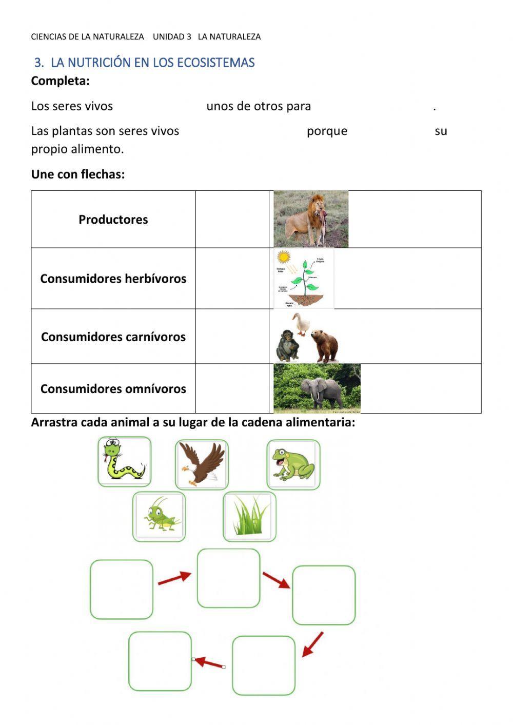 La nutrición en los ecosisteams
