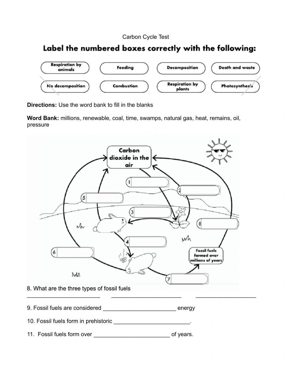 Carbon Cycle Test worksheet | Live Worksheets Carbon Cycle Test worksheet | Live Worksheets
