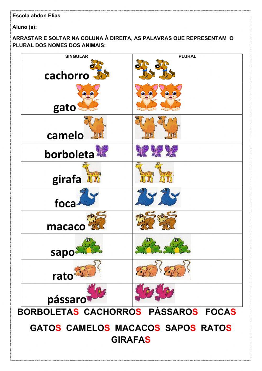 Plural em Português - A Dica do Dia - Aulas de Português grátis