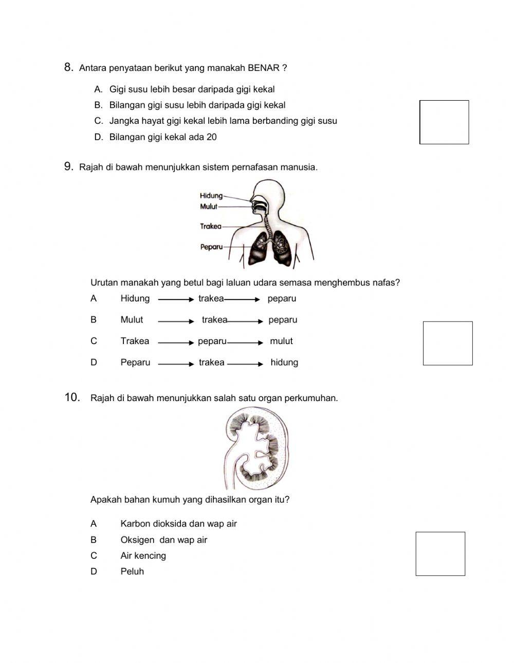 Kuiz Sains Tahun 4 (Set 1)