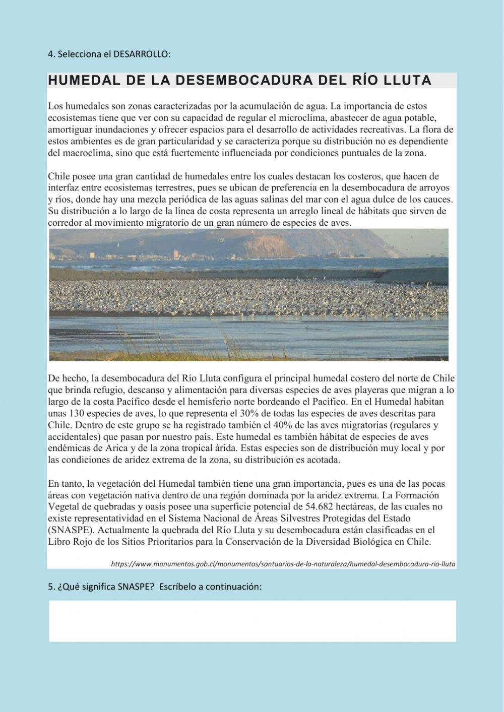 La importancia del patrimonio cultural Texto informativo.