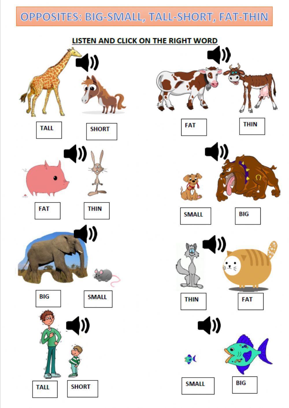 Opposites: Big-small, tall-short, fat-thin worksheet