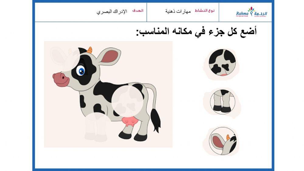 مهارات ذهنية