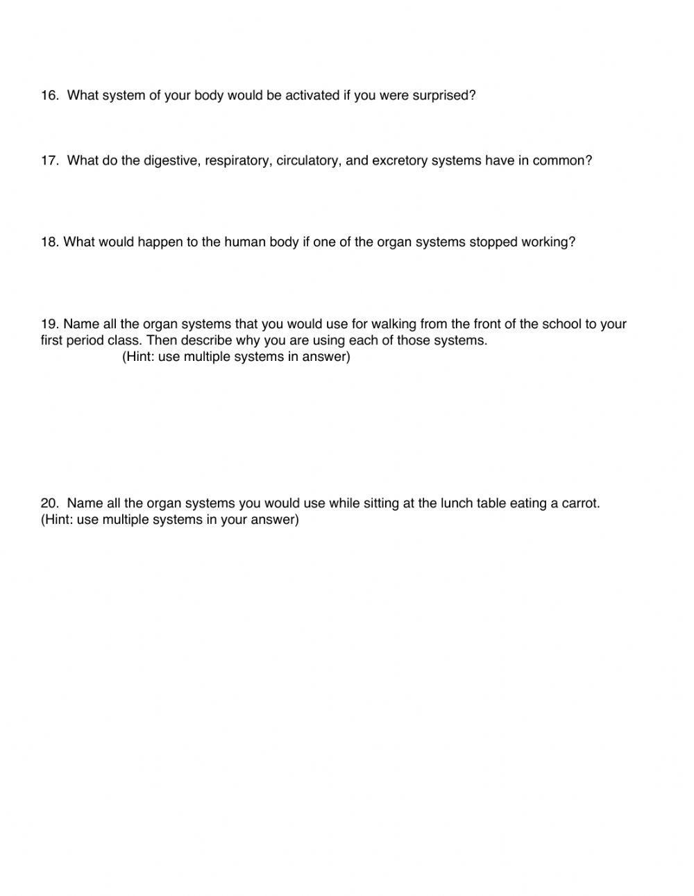 Human bodys system keywords