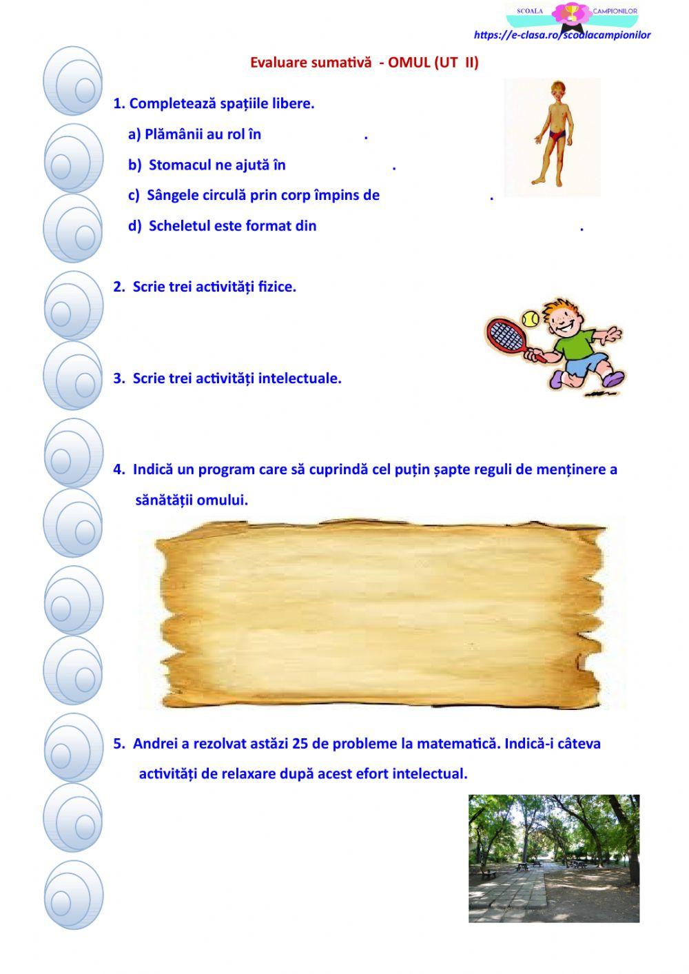 Evaluare sumativă - UT  II