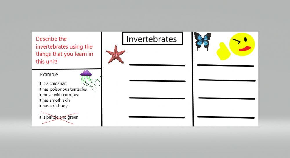 Invertebrates description part 1