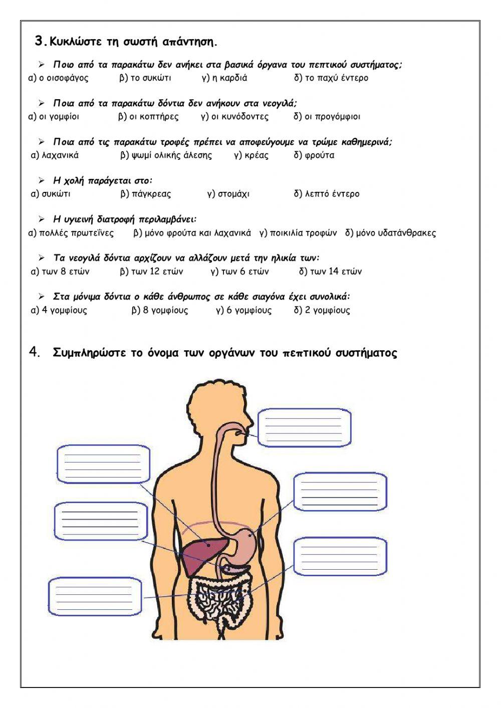 Πεπτικο συστημα