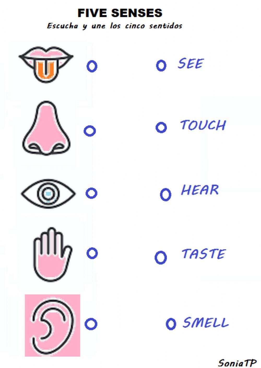 Five senses