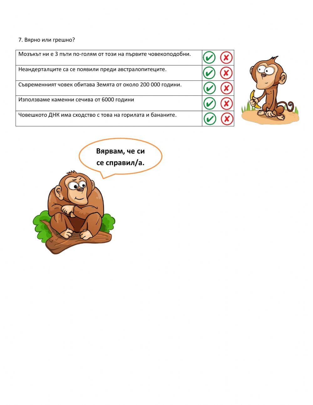 Еволюция на човека worksheet | Live Worksheets