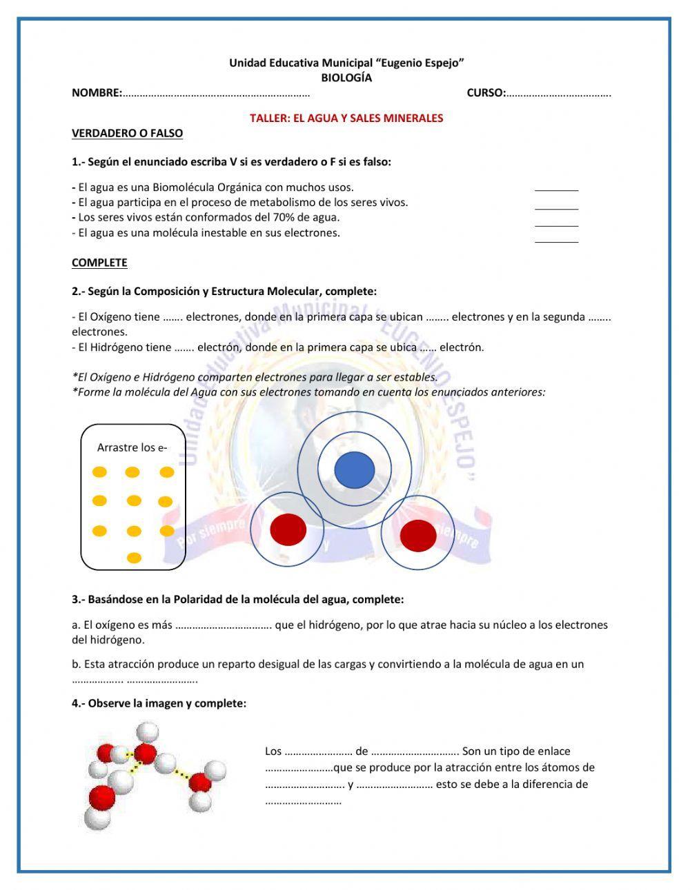 Taller: El agua y Sales Minerales