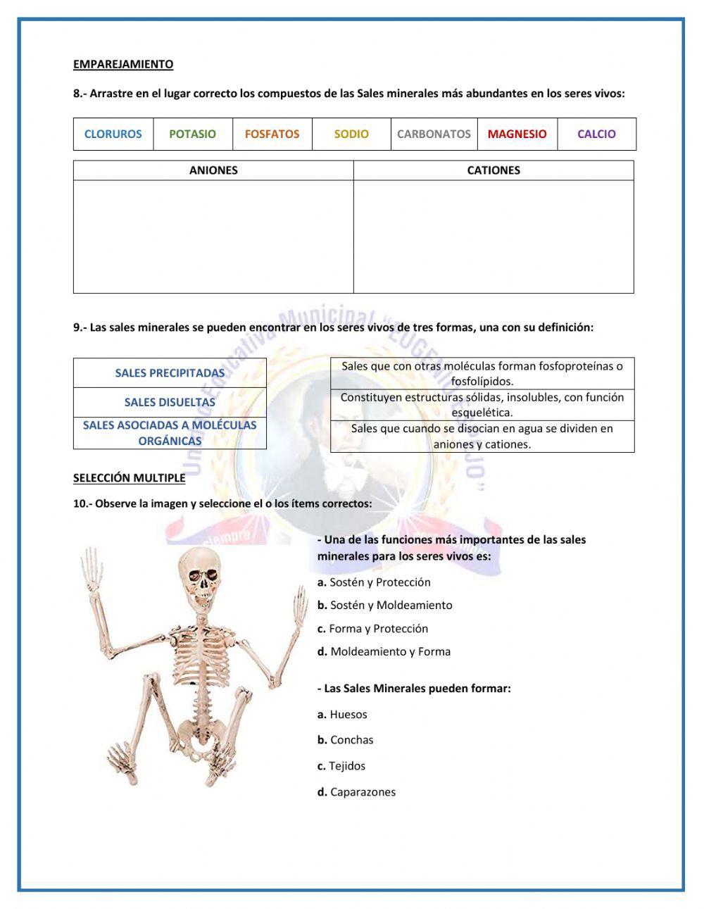 Taller: El agua y Sales Minerales