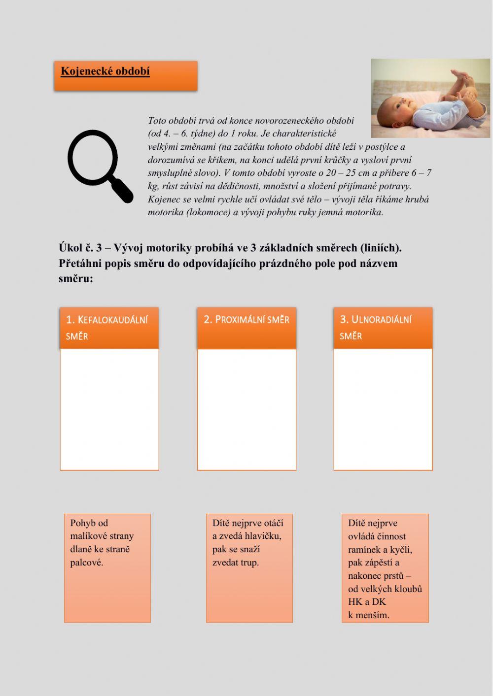 Pracovní list - vývojová psychologie