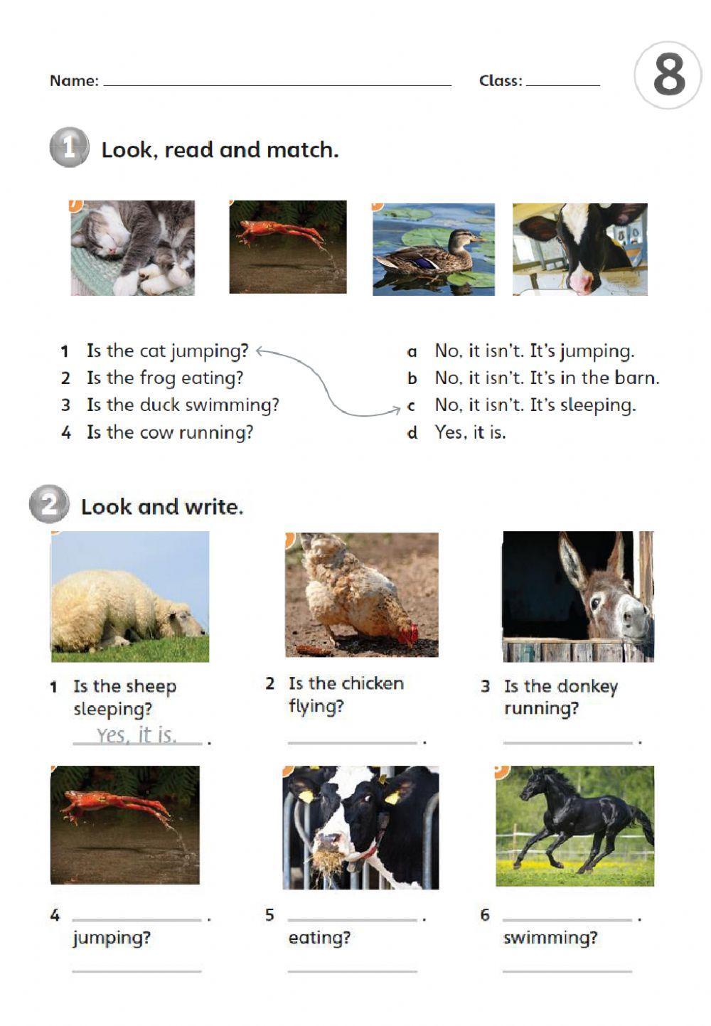 Is the grof Jumping?