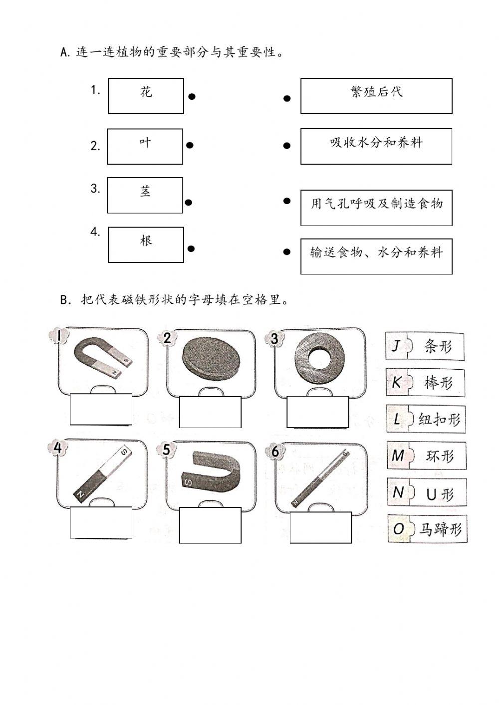 一年级科学评估