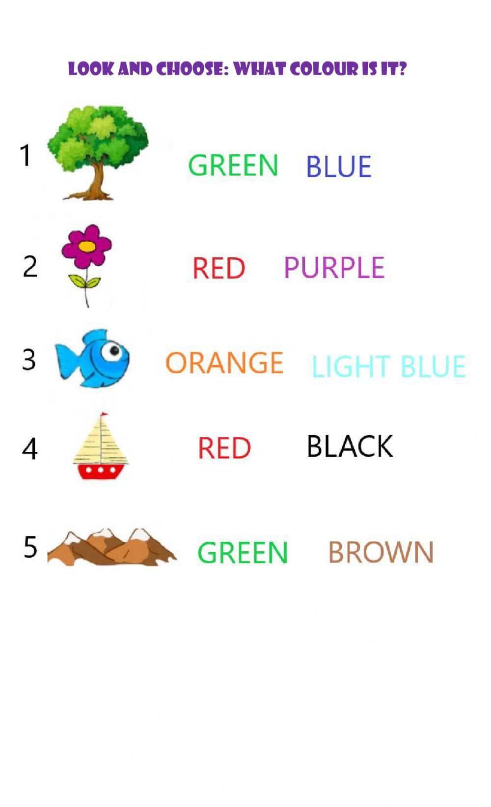 Revision for the final exam