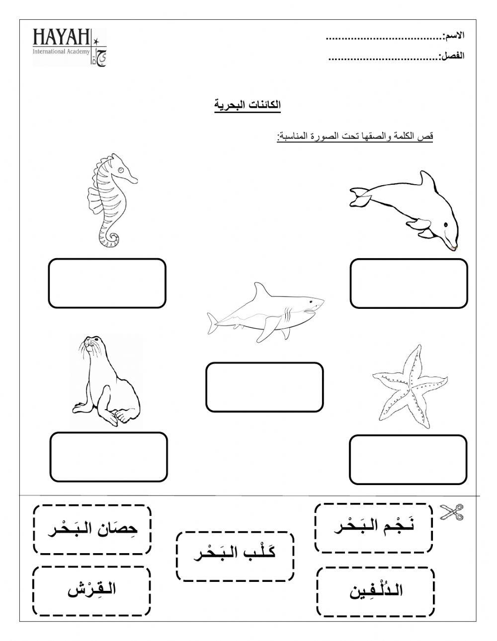 الكائنات البحرية