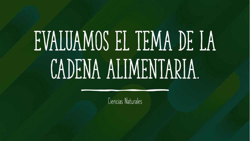 La cadena alimentaria
