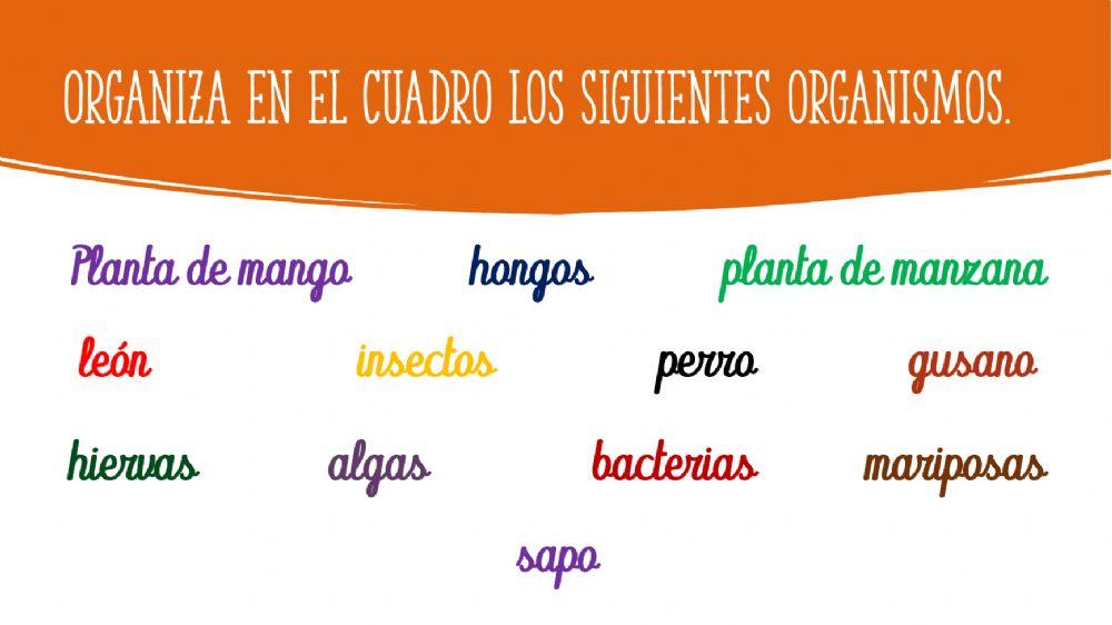 La cadena alimentaria