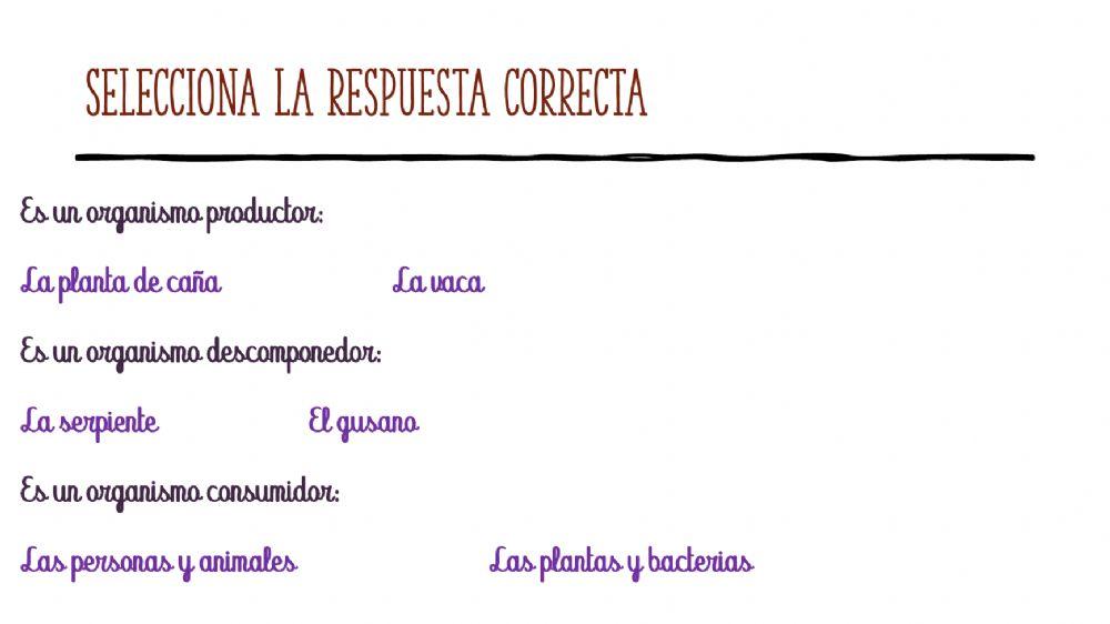 La cadena alimentaria
