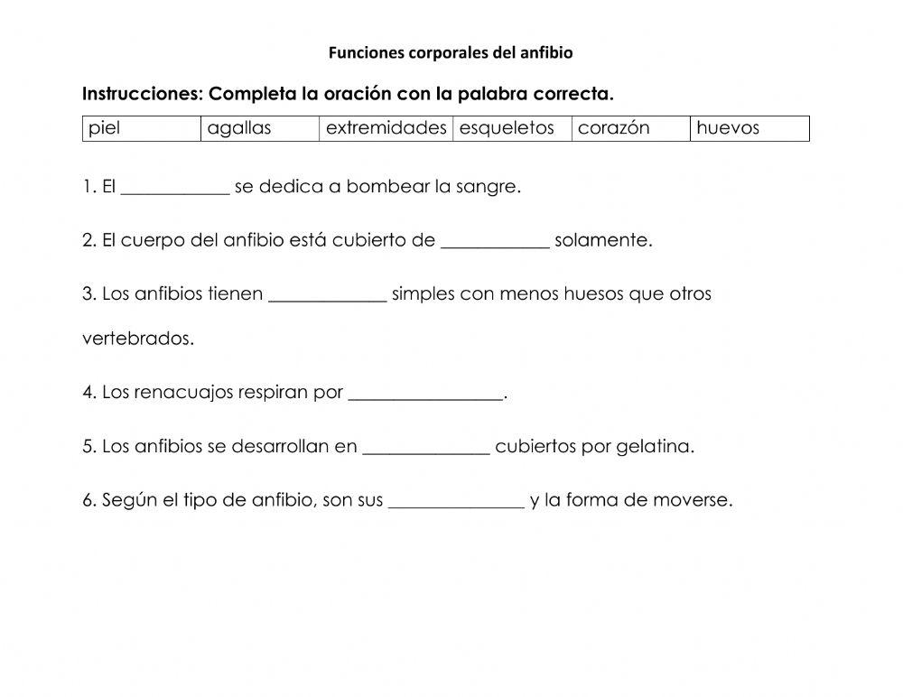 Funciones corporales anfibios