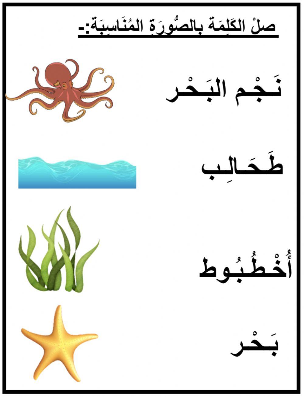 توصيل كائنات بحرية