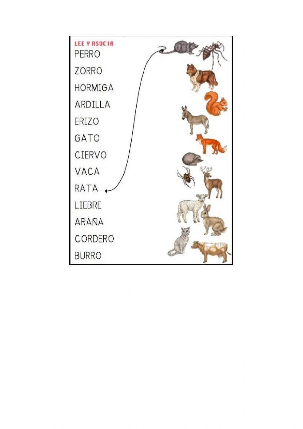 Uso de las letras mayusculas
