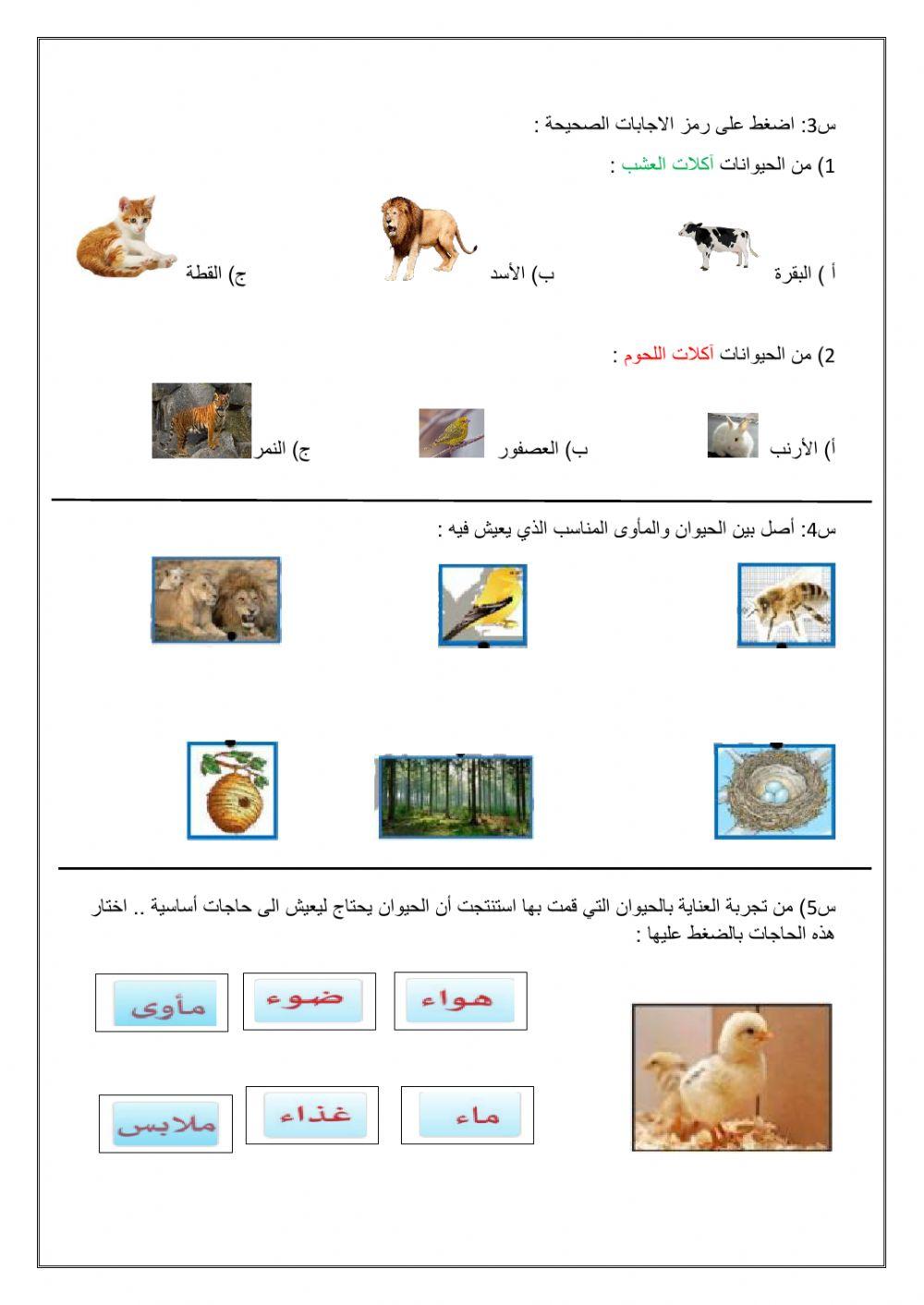 امتحان علوم