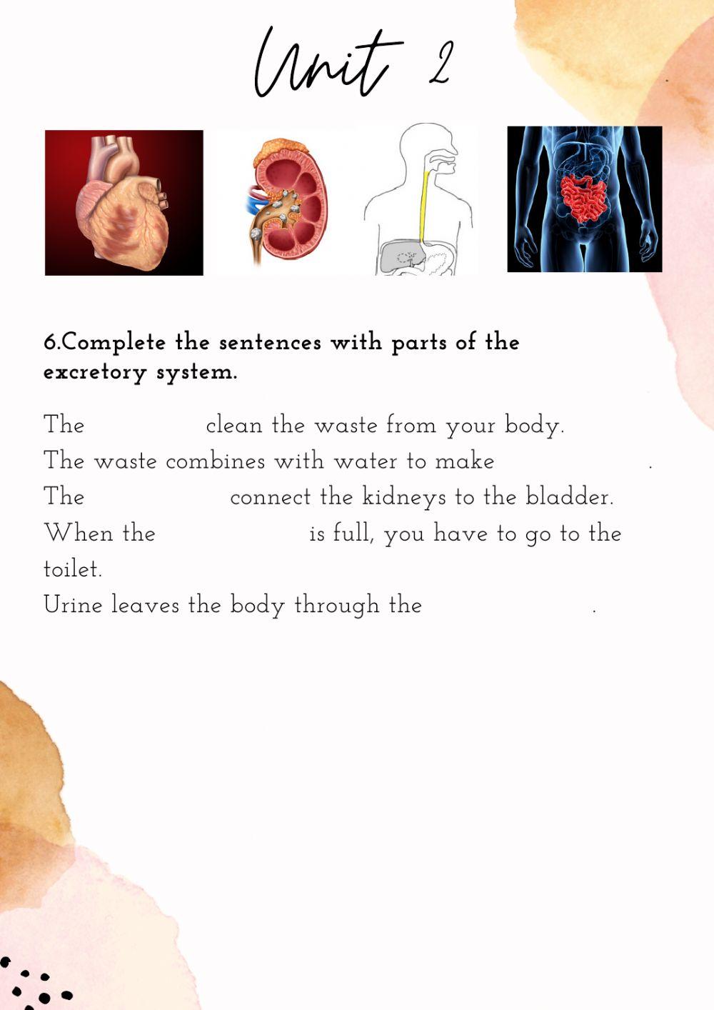 Unit 2 Natural Science 3º