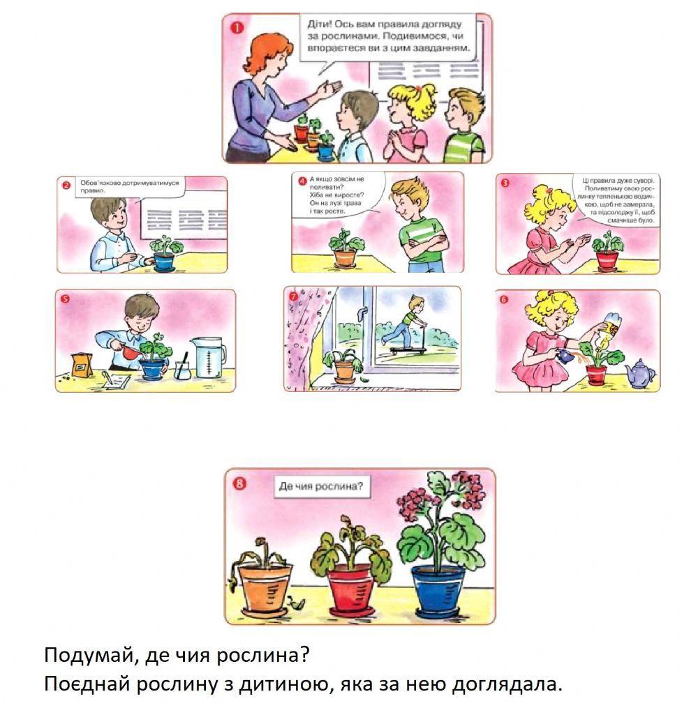 Рослини у моєму домі